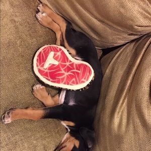 Meet your Posher, Danielle